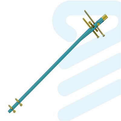 Unghia intramedulară de titan